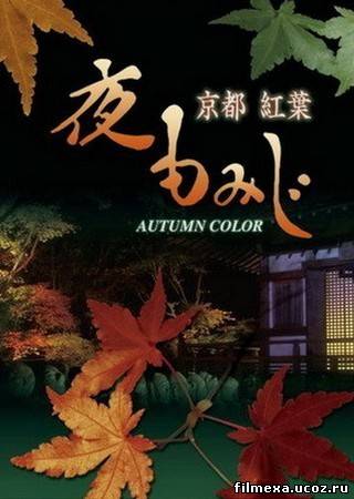 смотреть онлайн Осенний цвет Киото бесплатно