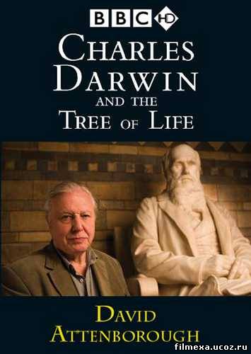 смотреть онлайн Чарльз Дарвин и Древо жизни бесплатно