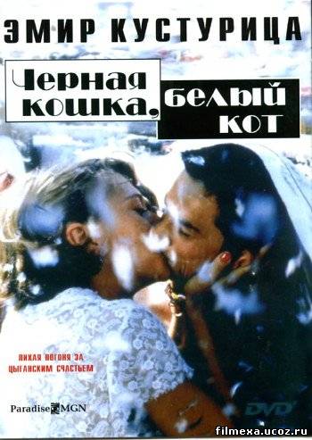 смотреть онлайн Черная кошка, белый кот (1998) бесплатно